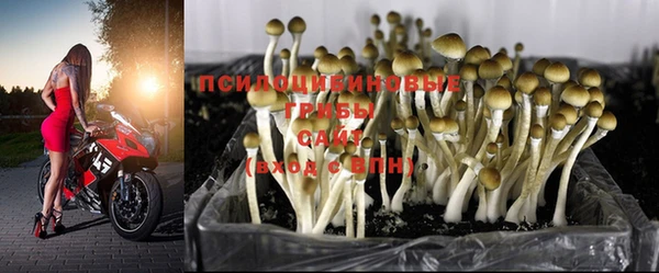 трава Балахна