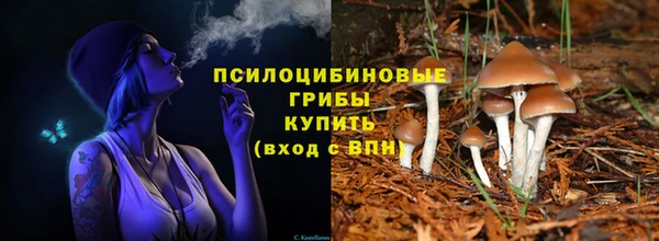 трава Балахна
