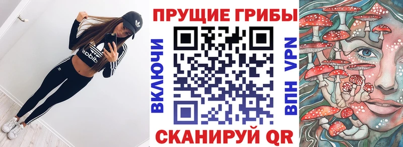 Псилоцибиновые грибы Magic Shrooms  Весьегонск 